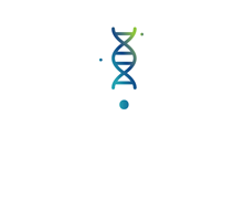 Research Realm